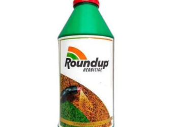 Roundup